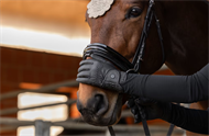 Covalliero Vinter Ridehandsker - Sort